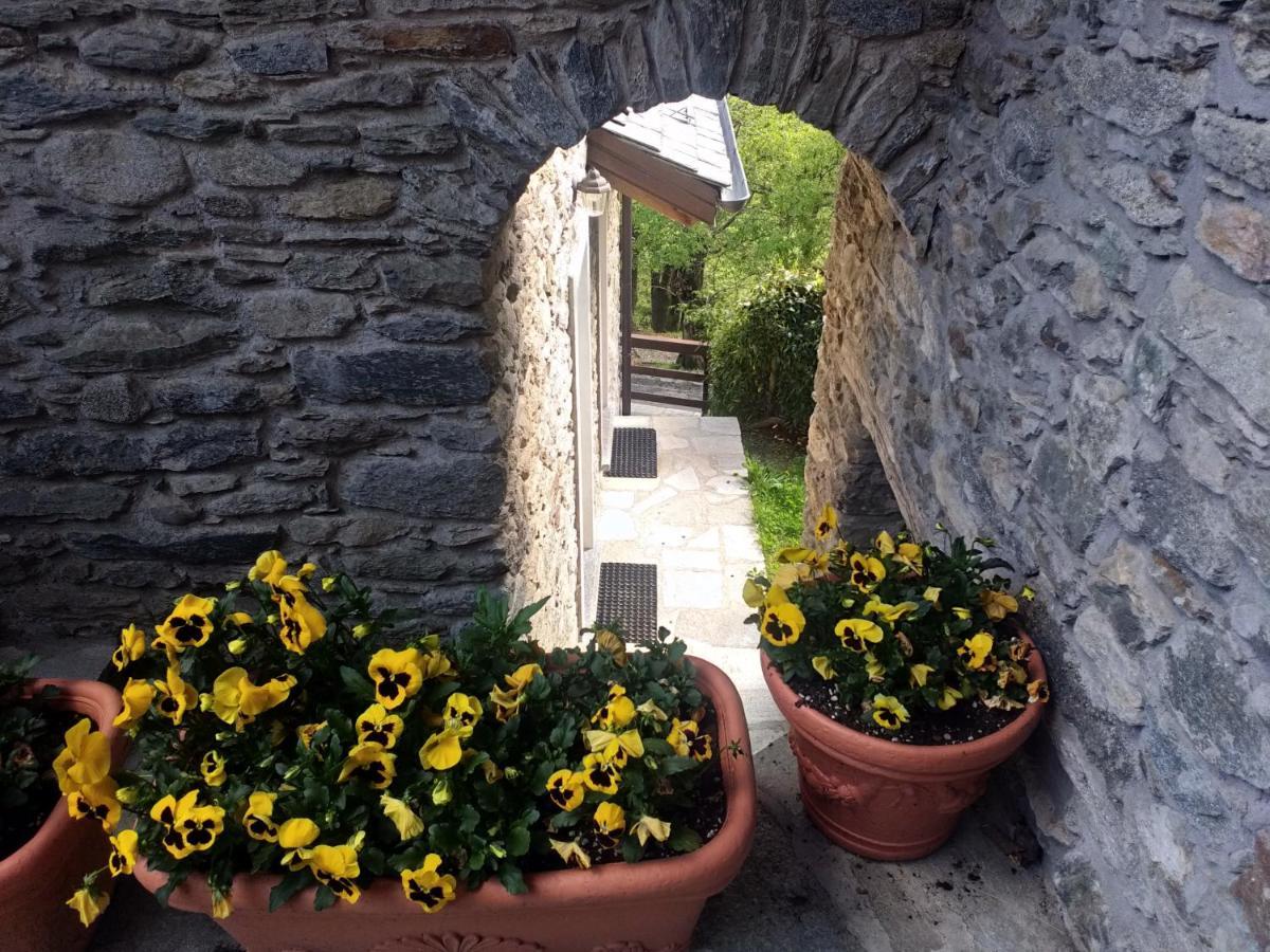 Agriturismo La Fonte Di Mariella Gravedona Ngoại thất bức ảnh